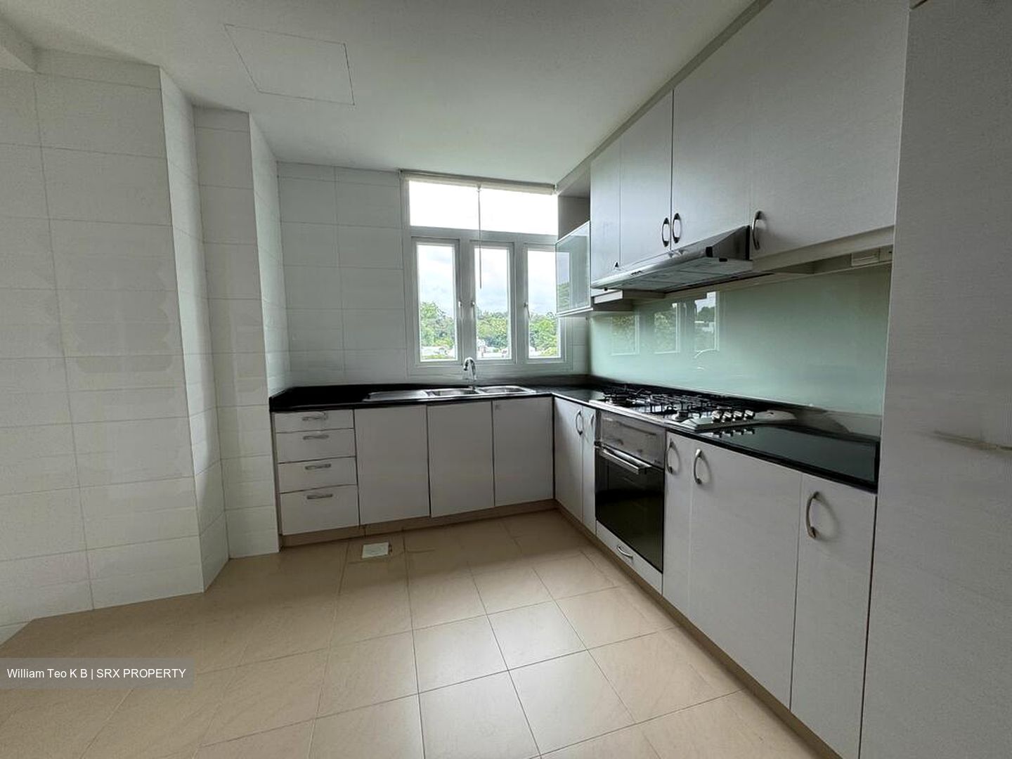 La Suisse (D11), Condominium #497705201